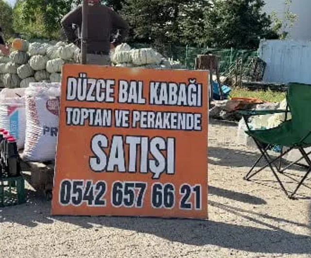 Gurbetçilerin valizinden dünya pazarına: Düzce kabağının yükselişi