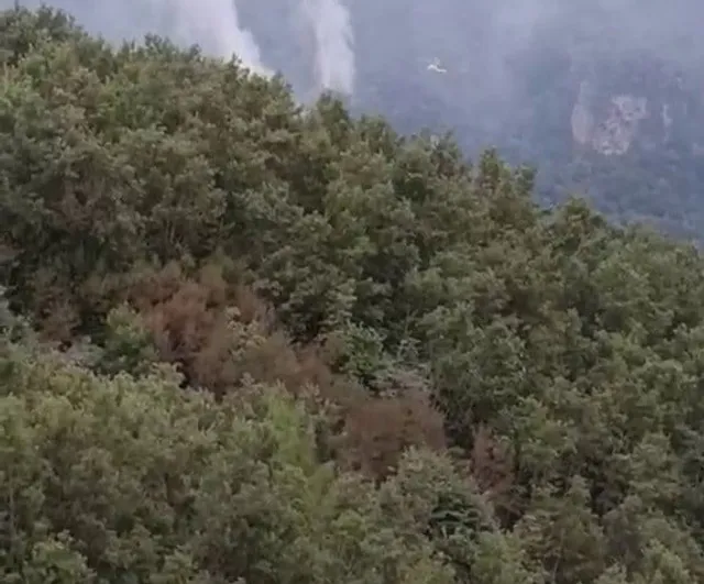 Hatay'da Dörtyol yaylasında çıkan yangının enerjisi düşürüldü