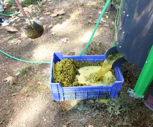 Kırsal mahallelerde ceviz işini hafifleten makine desteği