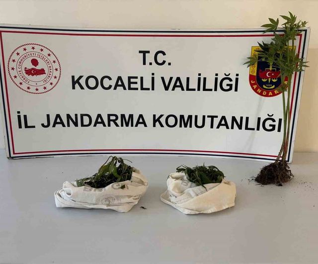 Kocaeli'de üç adrese eş zamanlı baskın: bin 12 hap ve 1 kilo 37 gram esrar ele geçirildi