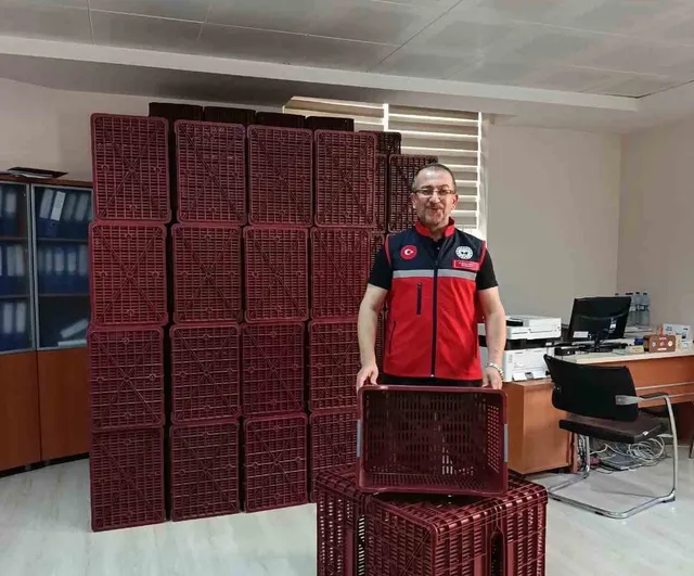 Köşk’te incirde kalite hedefi: üreticilere hibeli plastik kasa desteği
