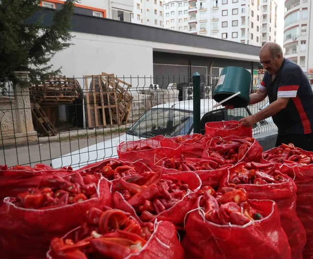 Kozan'da komşuluk imecesiyle salça sezonu damlarda sürüyor