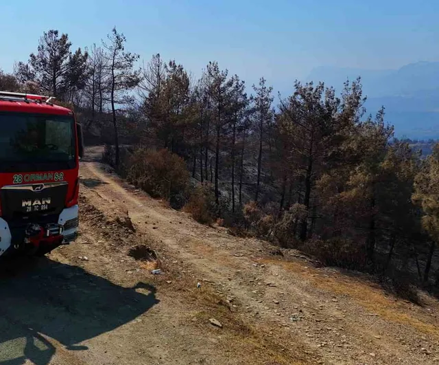 Kozan'dan yayılan alevler: binlerce hektarın siyaha dönüştüğü dron görüntüleri