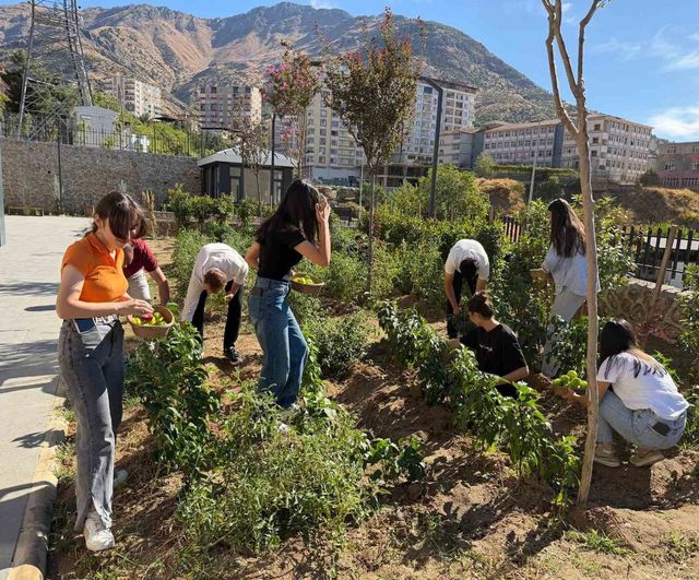 Kütüphane bahçesinden sofraya: öğrenciler kendi sebzelerini yetiştirdi