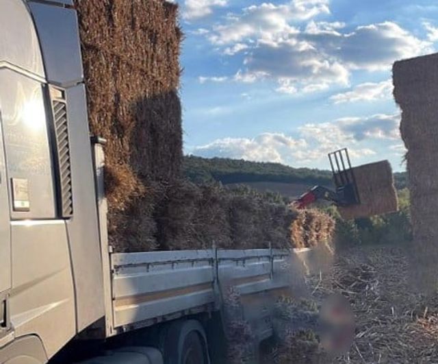 Malkara'da yükleme sırasında devrilen saman balyaları bir işçinin ölümüne yol açtı