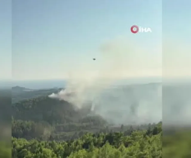 Manavgat'ta alevler 2,5 saatte dizginlendi: müdahale havadan ve karadan sürdü