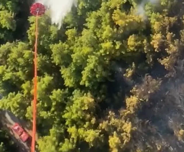 Manavgat'ta orman yangını kontrol altına alındı, soğutma çalışmaları sürüyor