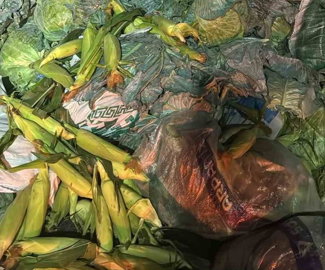 Otoyolda çarpışma: Tarsus-Pozantı Damlama mevkiinde kamyon sürücüsü yaşamını yitirdi