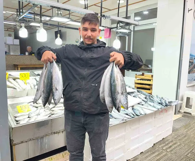 Sinop tezgâhlarında palamut bolluğu: fiyat 50 liraya kadar düştü