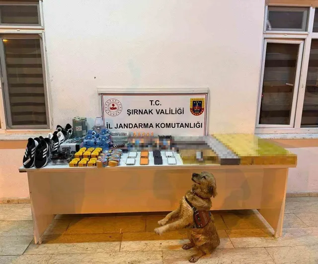 Şırnak'ta istihbaratlı operasyonda 196 şüpheliye yasal işlem