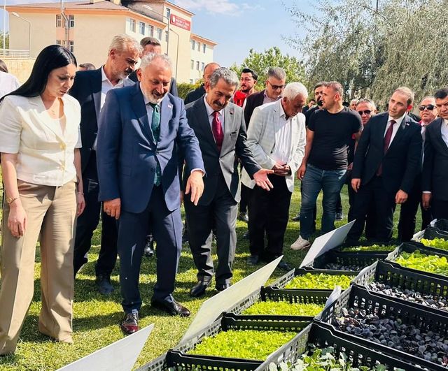Şırnak'ta kışlık üretime 152 bin 784 fide ve göçer üreticilere çoban çantası desteği