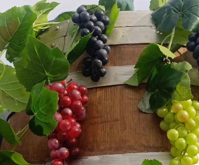 Tekirdağ’da gastronomi ve bağcılığın buluştuğu yeni festival kapılarını açtı