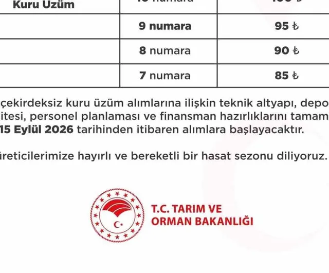 TMO 2026 alımlarında bandırmalı çekirdeksiz üzüm fiyatları belirlendi