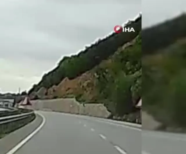 Yaralı geyiğin yardımına koşan aile trafiği tehlikesini giderdi