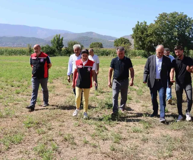Yatağan'da üreticinin emeğini öne çıkaran hasat şenliği
