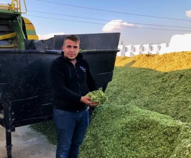 Yem maliyetleri artınca besicilerin tercihi silajlık mısır ve saman oldu
