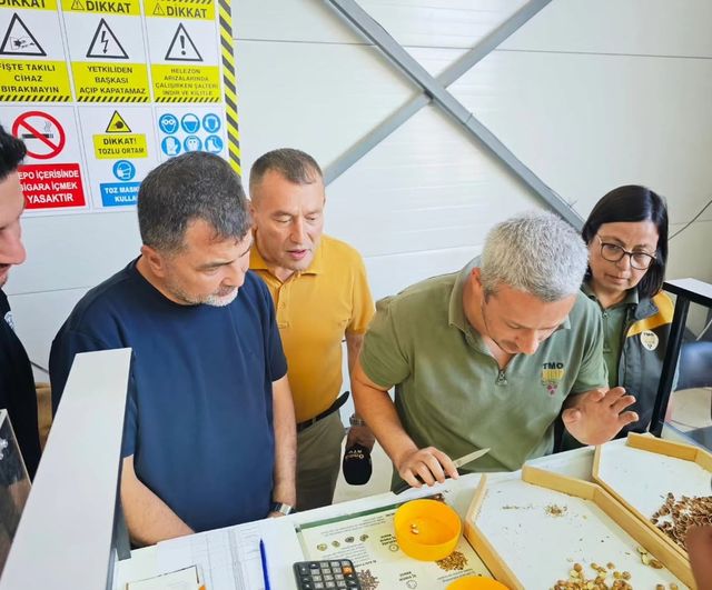 Yığılca'da üreticiye yönelik TMO fındık alım merkezi açıldı