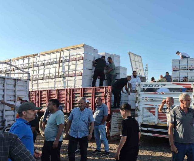 Yozgat'ta arıcılığa yatırım: yüzde 50 hibe ile bin 500 polen tuzaklı kovan dağıtıldı