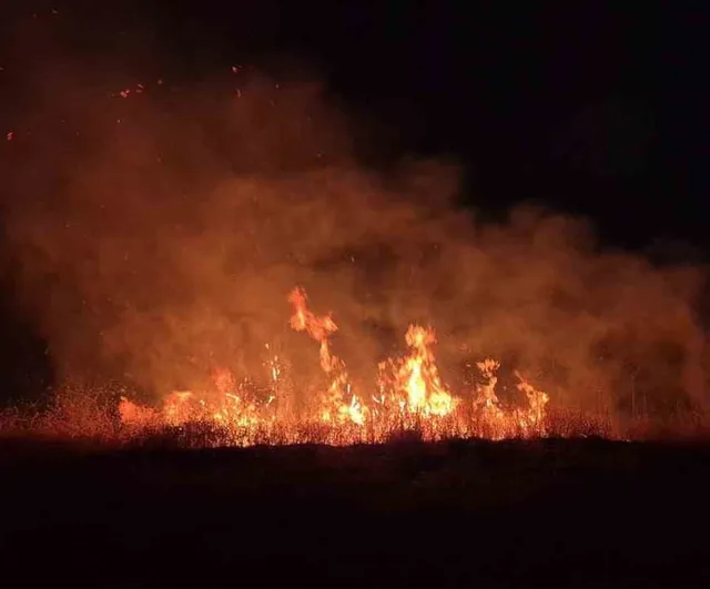 Adıyaman-Kahta kara yolunda anız yangını ağaçlara zarar verdi