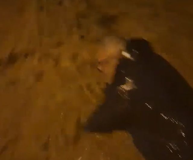 Armutlu'da selin ortasında kalan kişiyi komşusu kurtardı