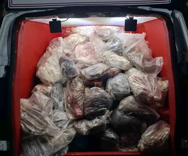 Diyarbakır Çınar'da yapılan kontrolde 820 kilo menşei belirsiz iç yağ ve sakatat ele geçirildi