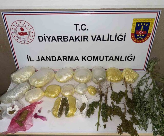Diyarbakır’da suç zincirine büyük darbe: 59 bin kök kenevir ve 109 kilo uyuşturucu ele geçirildi