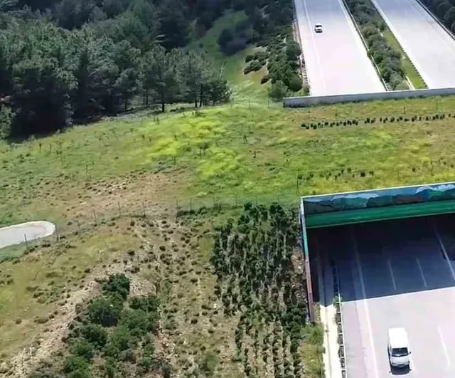 Ekosistemleri bağlayan 21 köprü tamamlandı: yeni noktalarda projeler planlanıyor