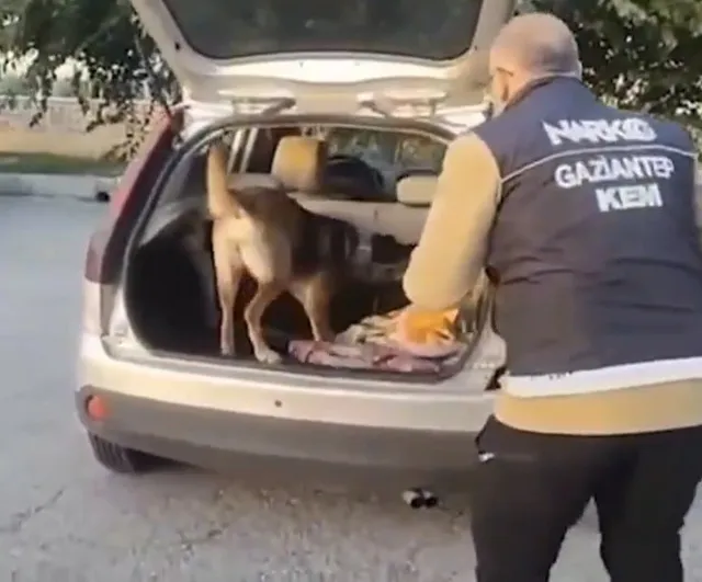 Gaziantep'te narkotik köpeğinin izi 1 kilo metamfetamini ortaya çıkardı