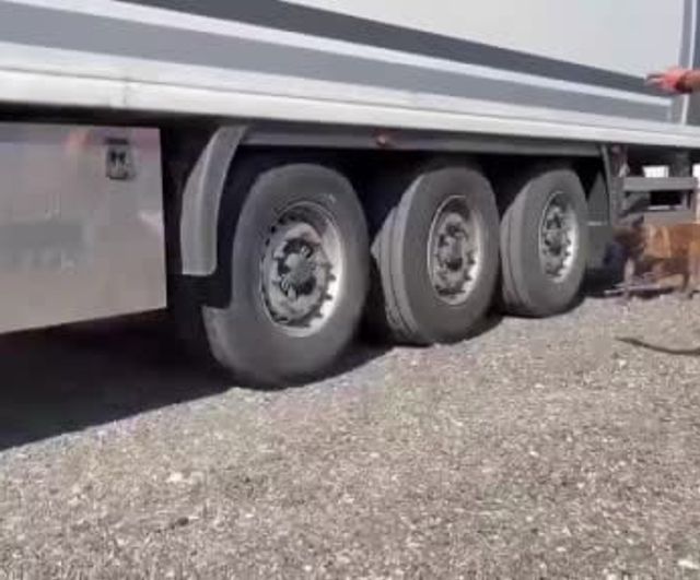 Gölbaşı’nda tırda 1 milyon 620 bin dolu makaron ve 30 bin paket kaçak sigara ele geçirildi