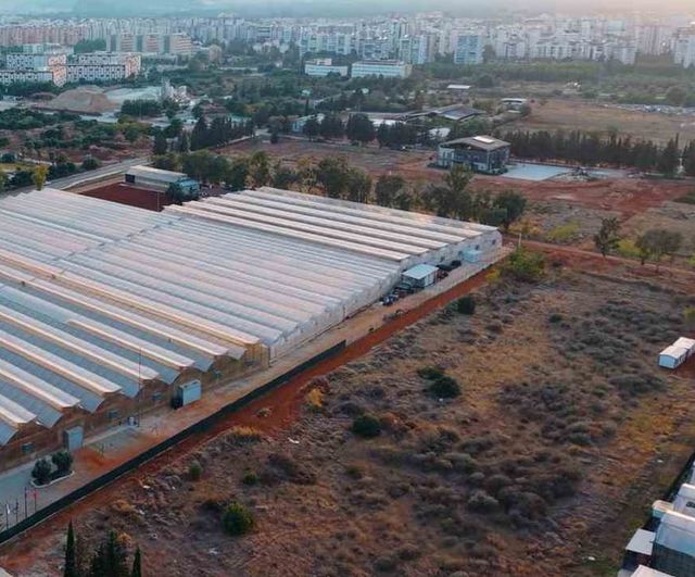Hektaş'tan Akdeniz'den Orta Asya'ya yerli tohum hamlesi