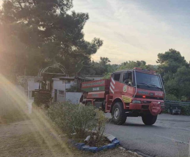 Heybeliada sanatoryumu'nda su kulesi civarında çıkan yangın kontrol altına alındı