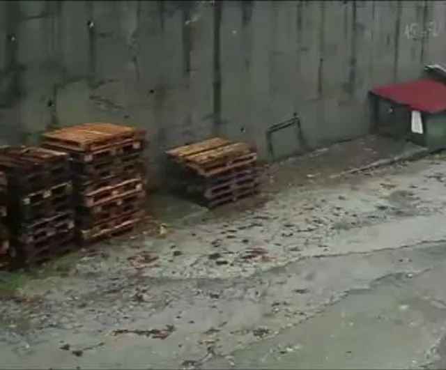 İstinat duvarı yağışla çöktü: iki araç enkaz altında, kulübedeki köpekler telef oldu