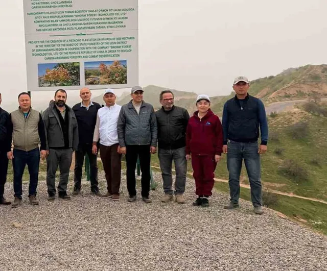 Karabük'ten bilim insanları Antep fıstığında uzun çiçek açan erkek ağaçları seçecek