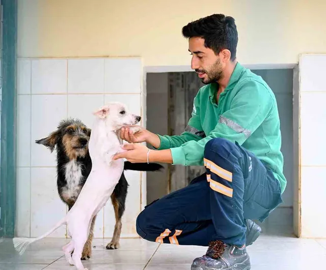 Kaşlı'da can dostlara kapsamlı bakım ve sahiplendirme