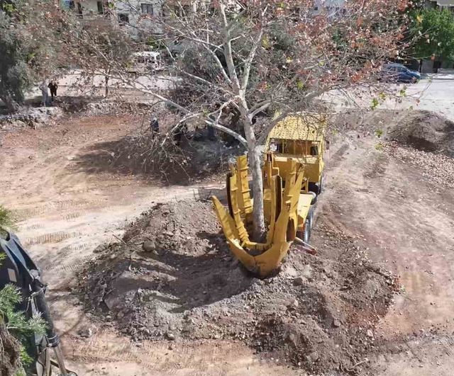Kaykay parkı inşaatında ağaçları taşırken geleceğe nefes veriyoruz