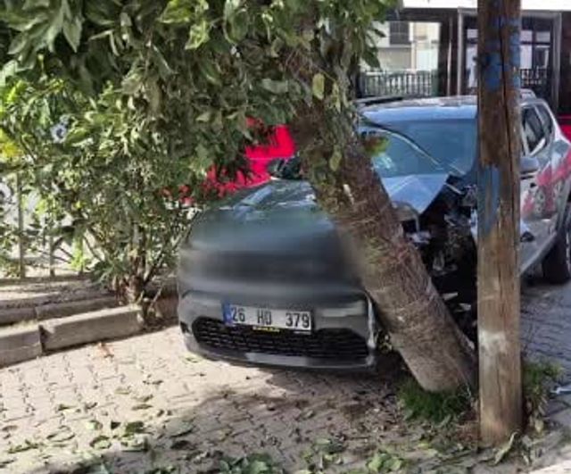 Köprü dönüşünde kontrolden çıkan otomobil dolmuşa çarpıp ağaca saplandı