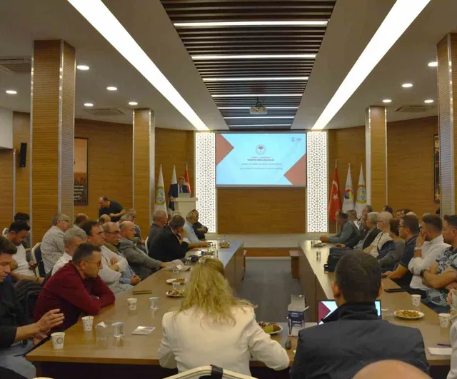 Manisa'da zeytin üretimi hız kazandı, kalite ve destek ön plana çıktı