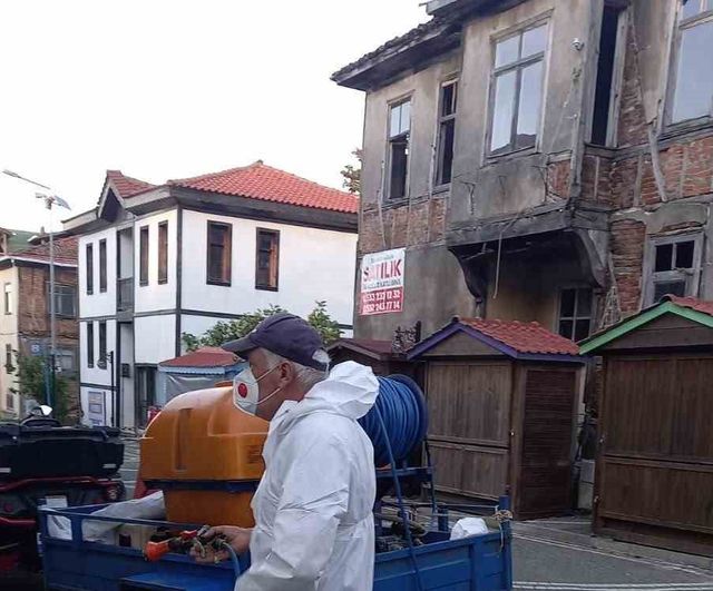 Muhtar tulumunu giydi, kahverengi kokarcaya karşı sokak sokak ilaçladı