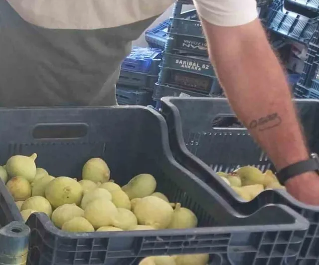 Mut'ta incir sezonu kapandı, fiyatlar üreticiyi rahatlattı