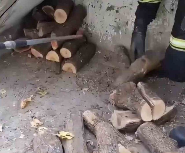 Odunlukta metrelerce yılan itfaiye ekiplerinin müdahalesiyle doğaya bırakıldı