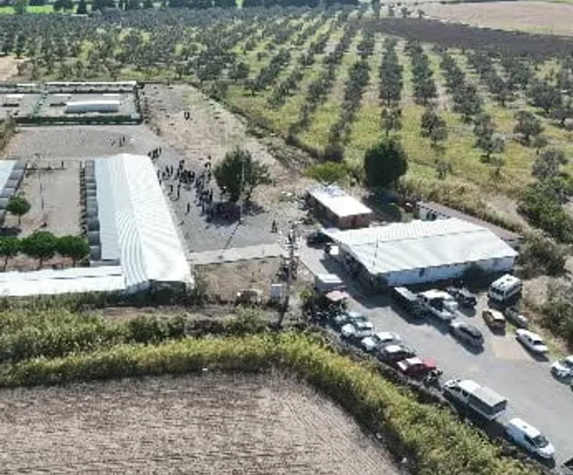 Öğrenciler Edremit'te fidan dikti, can dostlarıyla buluştu