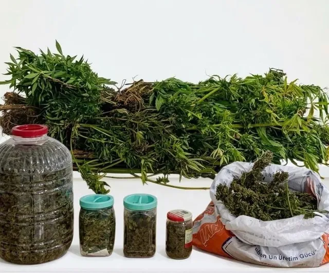 Ordu'da Akkuş ilçesinde düzenlenen uyuşturucu operasyonunda 5 kilo 20 gram kubar esrar ele geçirildi, bir kişi tutuklandı