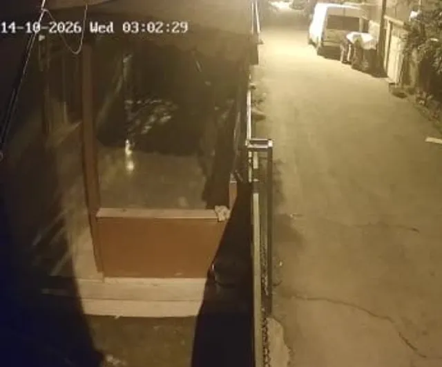 Penseyle kilidi kırıp evleri soyan zanlı Adana'da yakalandı