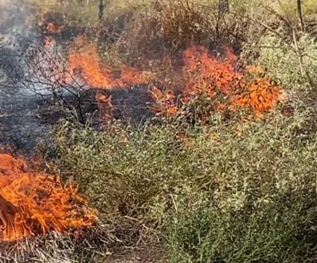 Rüzgârla yayılan yangın evlere ulaşmadan durduruldu