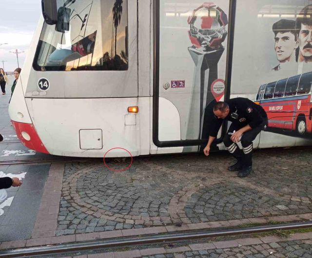 Samsun'da raylar arasında kalan yavru kedi korkuyu sevince dönüştürdü