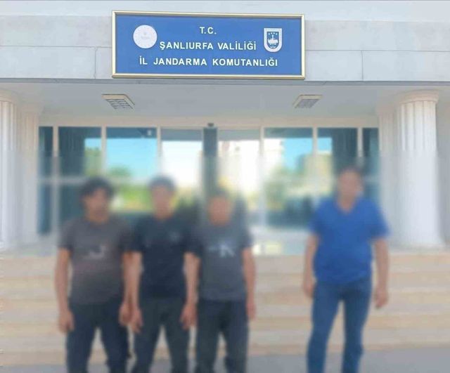 Şanlıurfa'da 9 göçmen kaçakçısı yakalandı