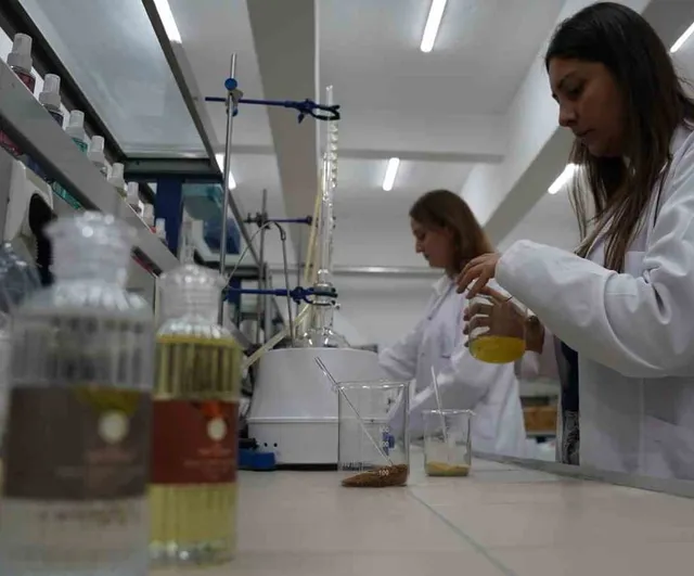 Tokat'ın yerel aromaları laboratuvarda kolonyaya dönüştü