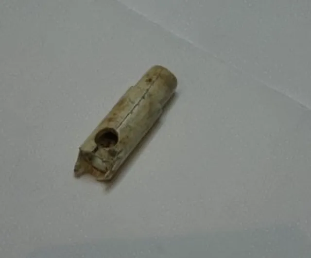 Troya'da 160 yıllık kazıların ardından ortaya çıkan ilk müzik aleti kemik flüt