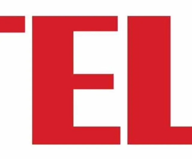Vestel yatırımcılara iki eurobond seçeneği sundu