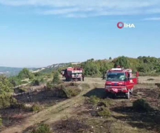 Vezirhan'da bahçe temizliği alevlere döndü: 2 hektar zarar